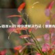 Steam错误103的7种快速解决 *** （亲测有效）