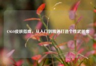 CSGO皮肤指南，从入门到精通打造个性武器库