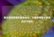藏在青铜局里的掘金密码，王者荣耀新手赛道的百万商机