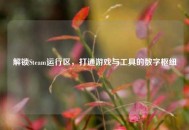 解锁Steam运行区，打通游戏与工具的数字枢纽