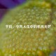 于玲，平凡人生中的不凡光芒