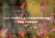 CSGO一千预算怎么花？外设饰品性价比指南+开箱能否出好东西？