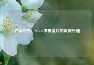 独享时光，Steam单机游戏的沉浸乐趣