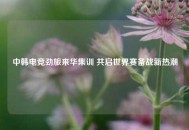 中韩电竞劲旅来华集训 共启世界赛备战新热潮