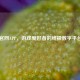 Steam官网APP，游戏爱好者的终极数字平台指南