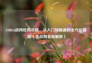 COD16战网吃鸡攻略，从入门到精通的全方位指南（含战网名称解析）