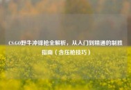 CS:GO野牛冲锋枪全解析，从入门到精通的制胜指南（含压枪技巧）