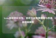 Steam全球地区分布，游戏文化地理图谱与市场新格局解析