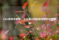 CSGO名称全解析，从玩家ID到武器皮肤的完整指南