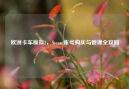 欧洲卡车模拟2，Steam账号购买与管理全攻略