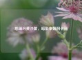 恕瑞玛黄沙誓，暗影拳姬阿卡丽