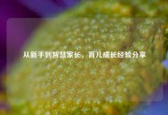 从新手到智慧家长，育儿成长经验分享