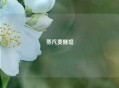 蒸汽麦醺馆