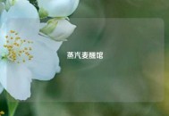 蒸汽麦醺馆
