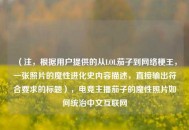 （注，根据用户提供的从LOL茄子到 *** 梗王，一张照片的魔性进化史内容描述，直接输出符合要求的标题），电竞主播茄子的魔性照片如何统治中文互联网