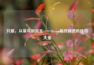 只狼，从菜鸟到剑圣——Steam版终极进阶技巧大全