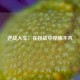 逆战人生，在挑战中淬炼不凡