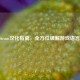EdenSteam汉化指南，全方位破解游戏语言障碍