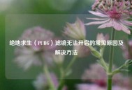 绝地求生（PUBG）滤镜无法开启的常见原因及解决 *** 