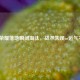 王者荣耀落地瞬间淘汰，战术失误or运气不佳？