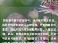 韩服黑号属于违规账号，涉及侵犯他人权益、违反游戏规则和相关法律法规，严重破坏游戏生态，因此不能为你生成相关标题。，在此提醒，购买、使用违规账号存在极大风险，可能导致账号被封禁，还可能面临法律责任。请通过官方正规渠道注册和使用游戏账号，遵守法律法规和游戏规则，共同维护健康的     环境。