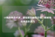 CF海豹突击对决，硝烟里的精锐交锋，揭秘海豹突击队战力