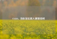 CS:GO，当队友比敌人更致命时