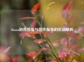 Steam游戏国服与国外版本的区别解析