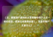 （注，根据用户提供的王者荣耀中的尸王这一核心信息，直接生成最简标题），王者荣耀尸王是什么？
