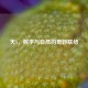 天5，数字与自然的奇妙联结