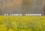 小飞，PUBG的独行侠，一位玩家的纯粹热爱