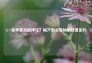 LOL春季赛真能挣钱？揭开职业赛场的财富密码
