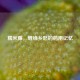 糯米藤，缠绕乡愁的药用记忆