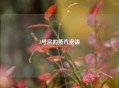 3号房的蒸汽密语