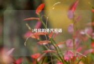 3号房的蒸汽密语