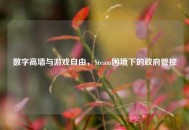 数字高墙与游戏自由，Steam困境下的 *** 管控