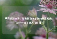 从青铜到王者，那些被数字串联的热血时光，新手一窍不通入门指南