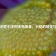 从CF斧吧小泽到电竞偶像，小安的蜕变与成长