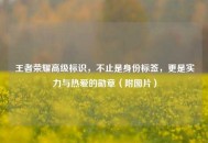 王者荣耀高级标识，不止是身份标签，更是实力与热爱的勋章（附图片）