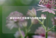 避孕环的工作原理与作用机制详解
