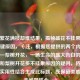 梨树繁花满枝却难结果，揭秘盛花不挂果的五大关键原因，（注，根据您提供的两个内容片段——梨树开花，一场生命的盛大告白的诗意表达和梨树开花多不挂果原因的疑问，将文学性与实用性结合生成此标题，既保留美感又直击问题核心。）