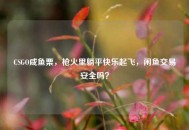 CSGO咸鱼栗，枪火里躺平快乐起飞，闲鱼交易安全吗？
