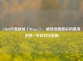 CSGO沙漠迷城(Mirage),破译地图背后的英语密码+实战打法指南
