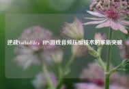 逆战VorbisFile，FPS游戏音频压缩技术的革新突破
