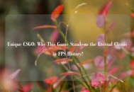 Unique CSGO: Why This Game Stands as the Eternal Classic in FPS History?