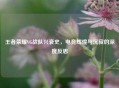 王者荣耀VG战队兴衰史，电竞辉煌与沉寂的深度反思
