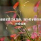 COD16更佳配置优化指南，提升茄子游戏体验的终极设置