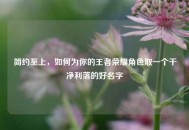 简约至上，如何为你的王者荣耀角色取一个干净利落的好名字