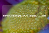 LOL小狗AD进阶指南，从入门到精通，Carry全场