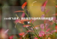 CSGO双飞战术，团队配合与战术执行的极致艺术